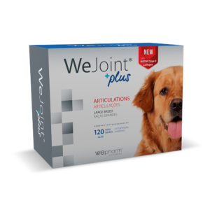 Pet Shop Online — EVOVET