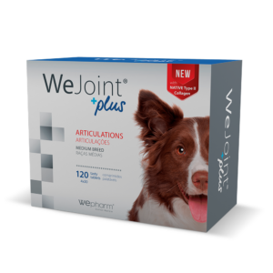 Pet Shop Online — EVOVET