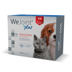 Pet Shop Online — EVOVET