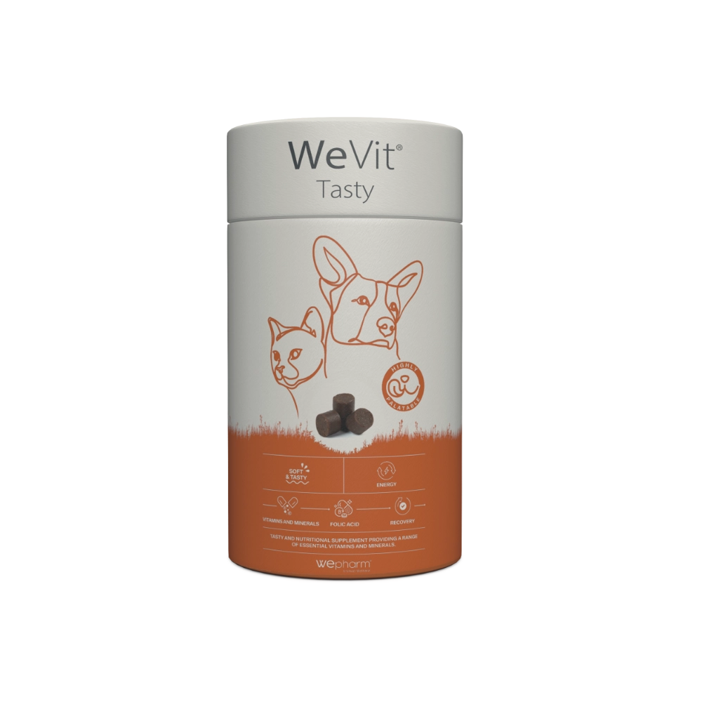 WeVit Tasty-cpr.mast. x 30